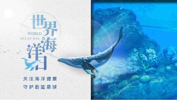 世界海洋日|91成人抖音短视频為你勾勒心中那片海